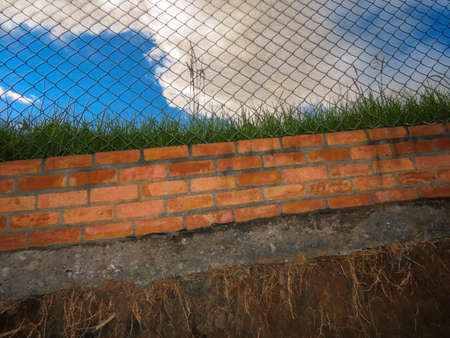 Nature breaks throughの写真素材