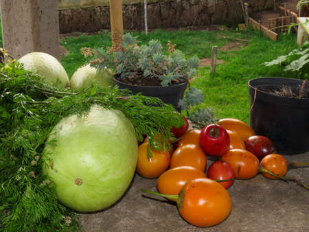 Garden productsの写真素材