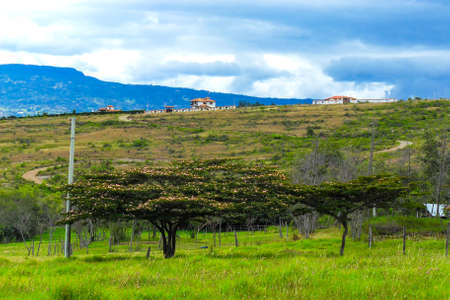 Little houses in the countryの写真素材