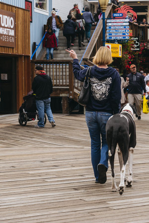 San Francisco, USA - September 30, 2015: Visitors walk on Pier 39 stores and restaurants in San Francisco.のeditorial素材