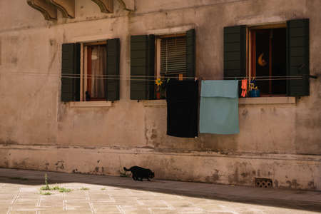 Venice, Italy - August 14, 2016: Only black cat on the street in  the Cannaregio district in Venice, Italy.のeditorial素材