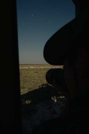 Photographer tourist from the safari car taking the pictures of the beautiful gemsbok walking in the savannah in the Namibian Etosha National Park.の写真素材