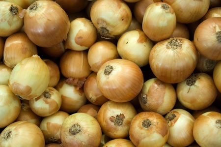 lots of onions on marketの写真素材