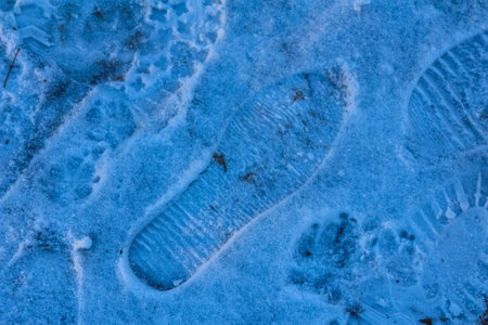 Fresh footprints are visible in the snow, marking a solitary path through a winter scene, surrounded by a tranquil, icy atmosphere.の写真素材