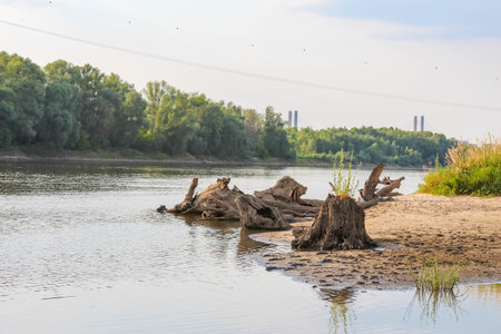 Scenic riverside landscape with fallen logs and lush green vegetation reflecting in calm waterの写真素材
