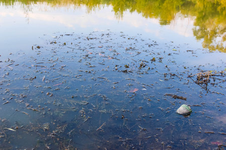 Crystal clear water with bright sunlight creating luminous reflections and peaceful underwater sceneryの写真素材