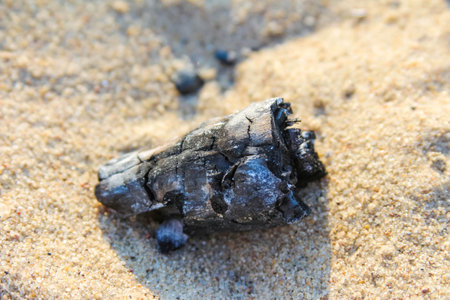 Dark mineral rock formation creating natural contrast against light colored sandy beachの写真素材