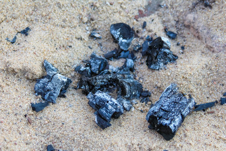 Black burnt pieces of wood scattered across sandy beach creating natural seaside pattern