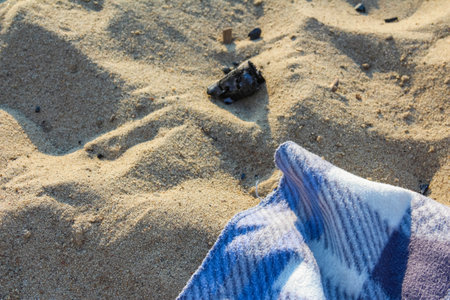 Blue plastic container partially buried in golden sand on natural beach environmentの写真素材