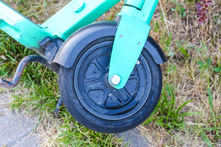 Metal bucket with blue handle standing on grass near garden pathway
