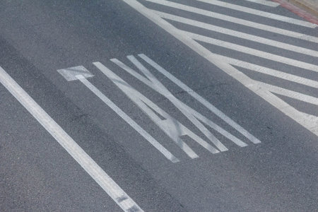 White painted bicycle lane marking with diagonal stripes clearly designs cycling path on dark...