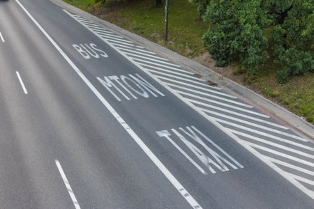 White painted crosswalk stripes and directional arrows mark asphalt road surface for pedestrian...