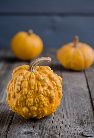 Decorative pumpkin on old wooden grey tableの写真素材