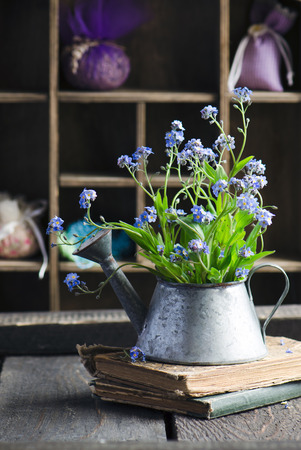 Fresh blue forget-me-not flower on the wooden backgroundの写真素材