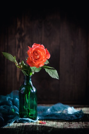 shrub roses in vase on dark backgroundの写真素材
