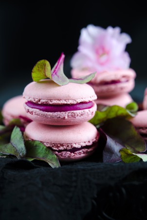 Pink macarons with  beetroot cream on the dark backgroundの写真素材