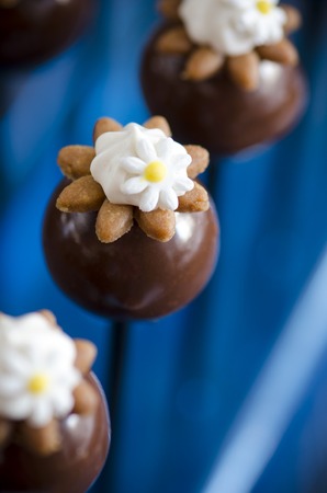 Handmade chocolates with chestnut and lemon marmalade on a stickの写真素材