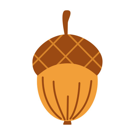 Vector cute autumn acorn. Oak acorn isolated on white. Oak nut. autumn tree. fall.のイラスト素材