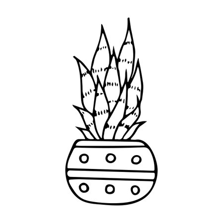 Hand drawn doodle aloe, Vector succulent in pot. Houseplant. outline.のイラスト素材