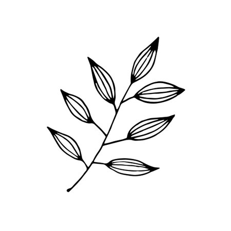 Hand drawn doodle leaf. Vector clipart with branches.のイラスト素材