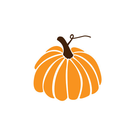 Hand drawn orange pumpkin. Vector pumpkin for Halloween or Thanksgiving design. outline.のイラスト素材