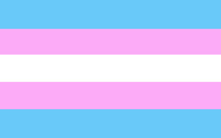 Vector transgender flag. LGBTQ Plus transgender flag.のイラスト素材