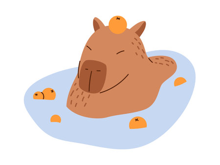 Vector funny capybara in flat design. Amusing capibara character with mandarin oranges. Cute capybara swimming in water. South American adorable animal.のイラスト素材
