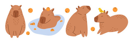 Vector collection of funny capybaras in flat design. Amusing set with capybara characters with oranges. Cute capybaras swimming in water and relaxing. South American adorable animals.のイラスト素材
