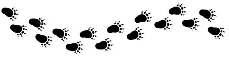 Vector paw trail of bear foot print. Silhouette of grizzly tracks isolated on white background.のイラスト素材