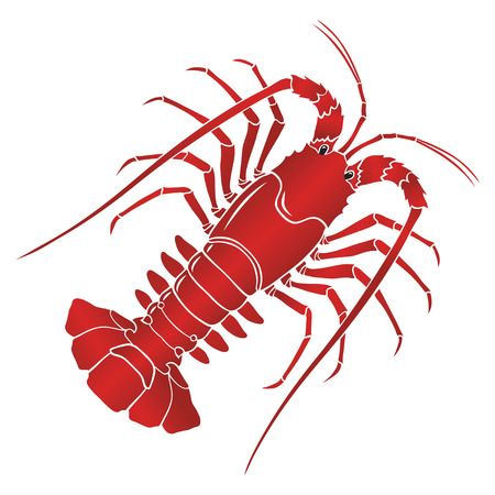 boiled spiny lobster or rock lobster on white background.のイラスト素材