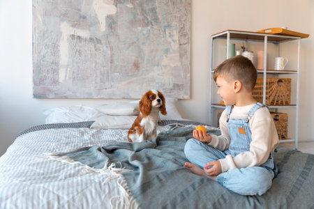A preschool child plays with little poppy of cocker at the bedの写真素材