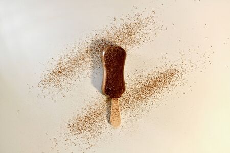 Chocolate ice creamon a stick. Sprinkled with cocoa. On a light background. View from above.の写真素材