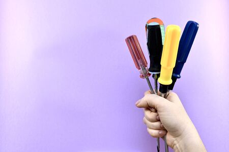 A bouquet of different screwdrivers in the hand on the right.の写真素材