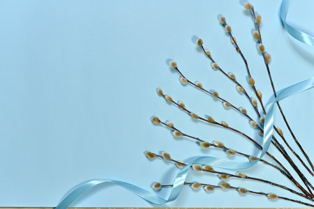Layout of willow twigs with fluffy fan buds, decorated with satin blue ribbon for the Palm Sunday...