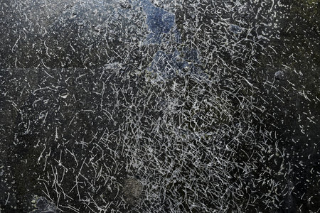 The background is abstract dark of concrete coating with scratches from machine spikes from wheels...