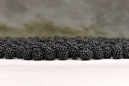 The background of the blackberries line in sharpness scattered on the surface, on a blurred background of greenery.の写真素材