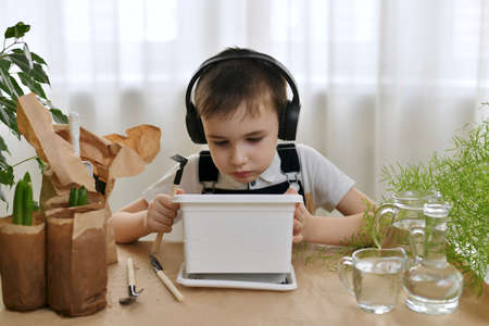 A boy in audio headphones listens to music and does gardening. Planting seedlings of hyacinth flowers. He looks into the empty pot, tilting it and holding a rake in his hand.の写真素材