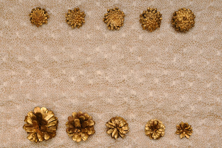 New Year winter background, two horizontal rows of golden cones, at the top of the face, at the...