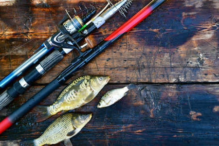 Three spinning rods and three freshly caught fish. They lie on the wide wet wooden boards of the bridge pier.の写真素材