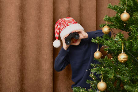 A boy with a missing tooth smiles in a striped hat, peering out from behind a decorated Christmas tree, and looks through binoculars. On a brown curtain background.の写真素材