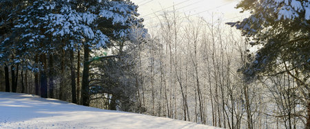 Panoramic image of the winter landscape. Woody terrain, strewn with snow.