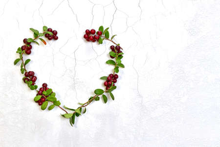 The shape of the heart is decomposed by a layout twigs of cranberries with leaves and berries. On a white matte textured background with cracks and irregularities, on the right.の写真素材