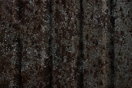 Surface with rusty large wide stripes of consistent brown spots and silver splashes on a steel gray background with vertical grooves.の写真素材