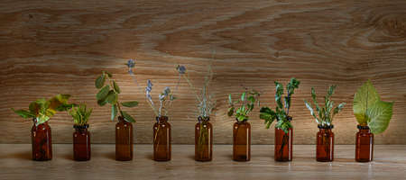 Bottles of dark glass with herbs and dried plants. On a wooden background in a row.の写真素材