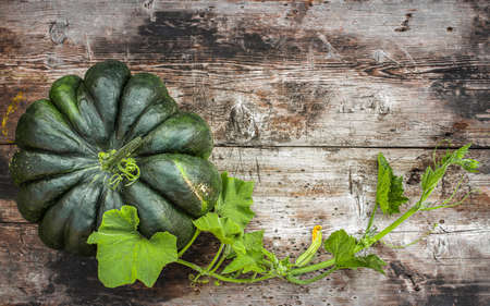 Green flattened segmented pumpkin on a wooden surface with a stem and flower bud.の写真素材