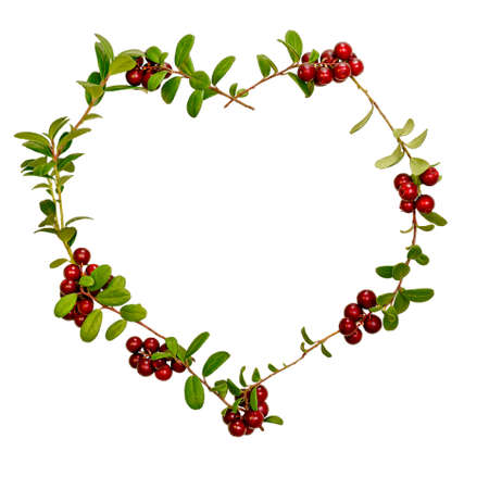 The frame heart shaped is lined with twigs of lingonberries cowberry with berries and leaves. Isolated on white background.の写真素材