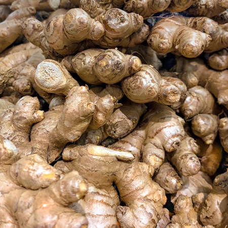 Ginger, close-ups. Lots of roots. Texture background.の写真素材