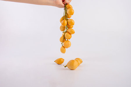 Female hand holds a bunch of fresh yellow dates on a white background