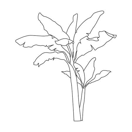 Palm Trees Continuous Drawing. Tropical Island Line. Palm with Modern Minimal Illustration. Vector EPS 10のイラスト素材