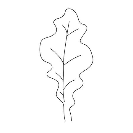 Oak leaf linear icon. Thin line illustration. Contour Vector outline drawing.のイラスト素材